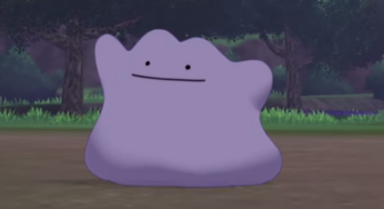 Opinion: How the Fuck Am I a Normal Type Pokémon?